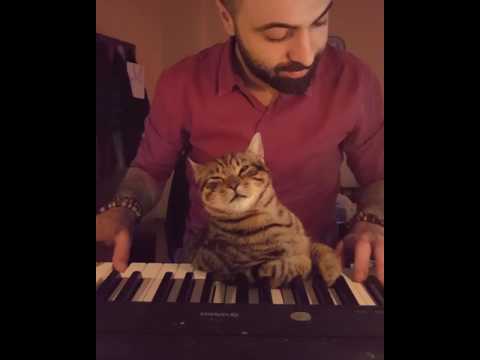 &quot;Never sleep without piano&quot;