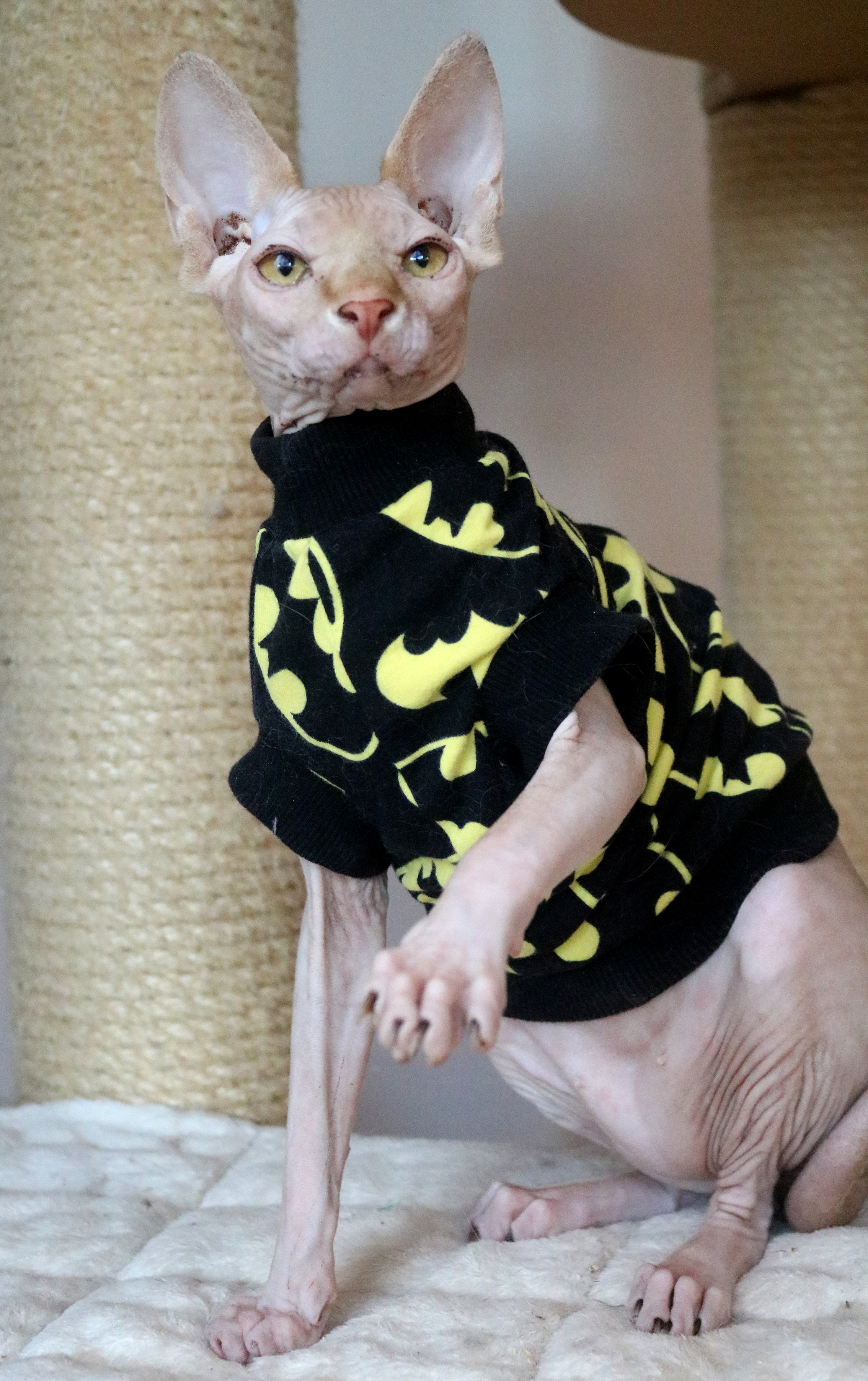 Batman Vitali